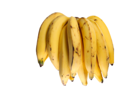 Banana da Terra