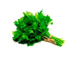 Salsa ( salsinha)