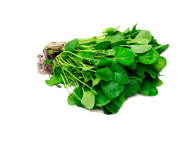 Agrião