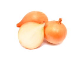 Cebola Média