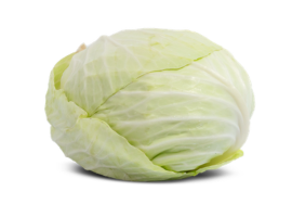 Repolho  Verde