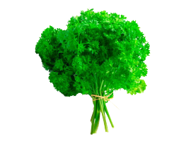 Salsa Crespa